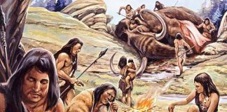 qué comían en la prehistoria