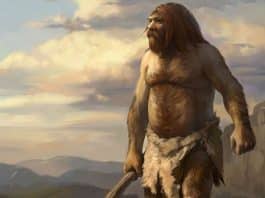 Que fue el neandertal