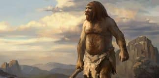 Que fue el neandertal