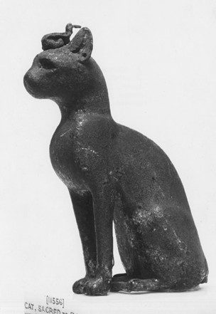 Animales sagrados, los gatos en Egipto