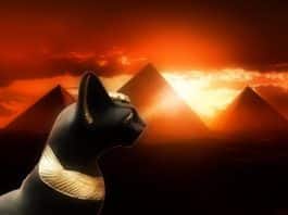 Animales sagrados en Egipto