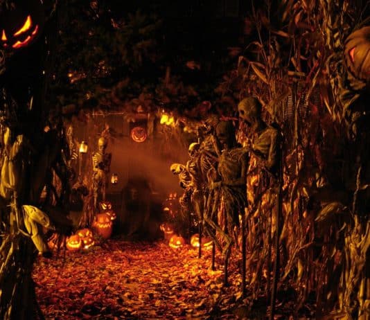 El origen de Halloween el samhain