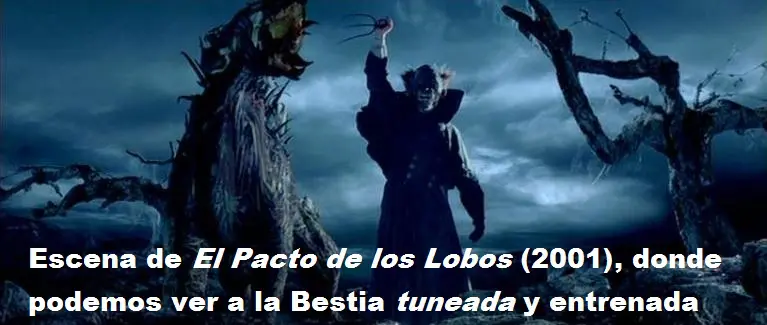 el pacto de los lobos netflix pelicula completa imdb reparto filmaffinity