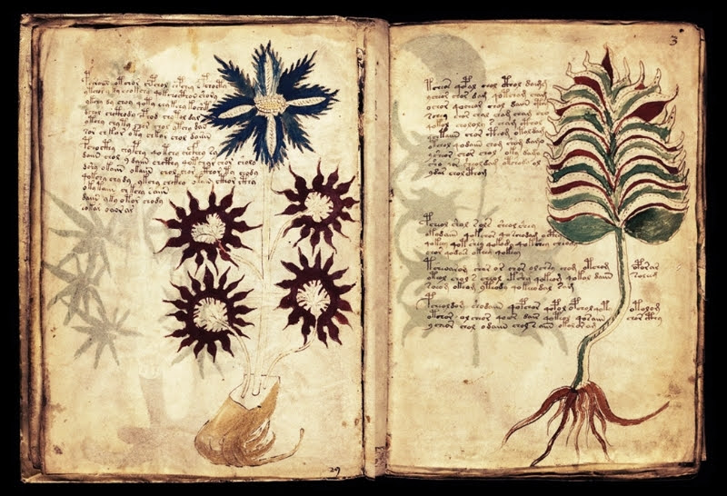 sección botánica o herborística del manuscrito voynich