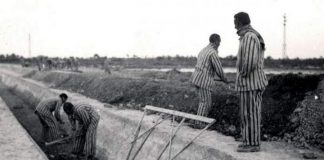 Campo de Concentración Franquista de Albatera